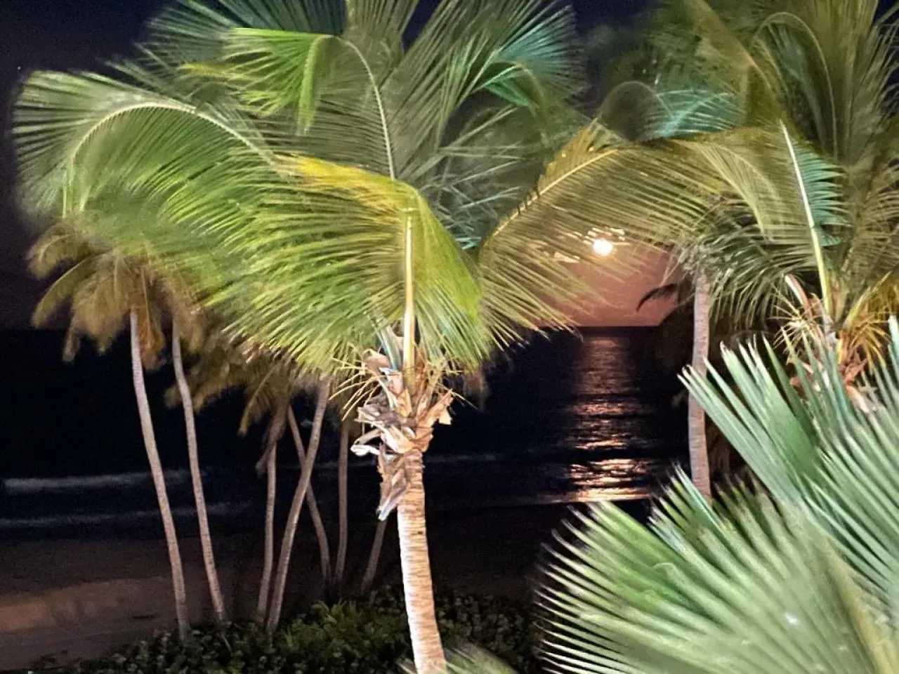 Apartment Beachfront Luxury 2 Bedroom At Wyndham Rio Mar, Pr Luquillo